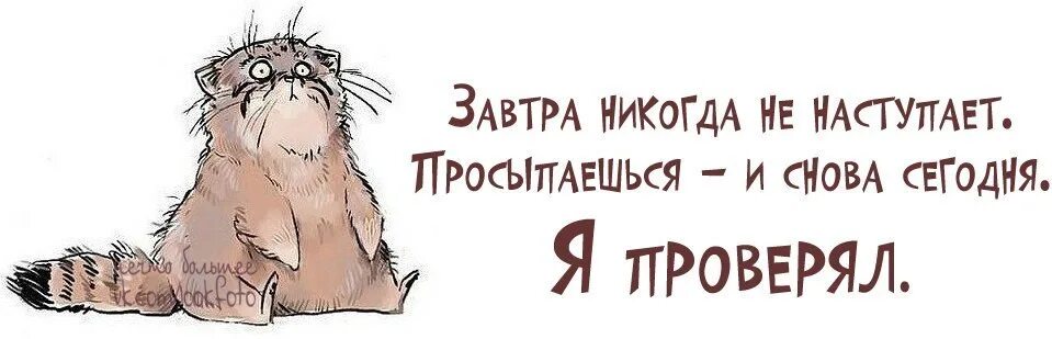 Завтра не наступит никогда. Завтра никогда не наступит просыпаешься и снова сегодня. Завтра картинка. Завтра не наступит никогда картинки. Хорошо завтра посмотри