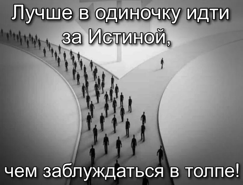 Идти за толпой. Одиночка в толпе. Толпа людей идут в одну сторону. Лучше в одиночку следовать за истиной чем заблуждаться в толпе. Хорошо пойду посмотрю