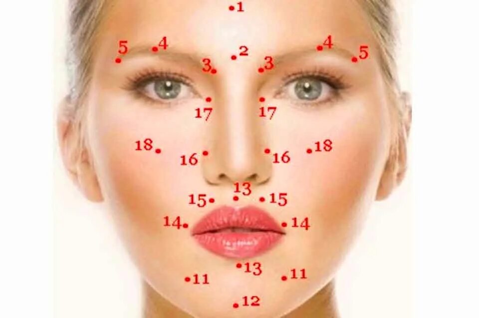 точечный массаж лица для омоложения шиацу. что означают точки на лице. японский точечный массаж лица шиацу. биологически активные точки на лице. что означают точки на лице.