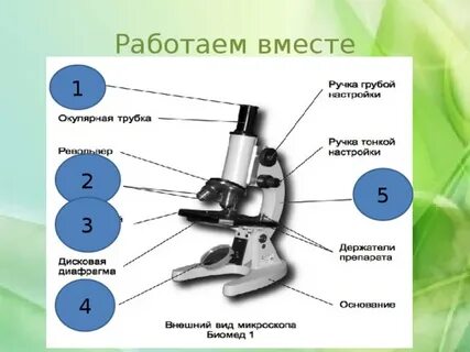 Микроскоп это прибор увеличивающий изображение в несколько