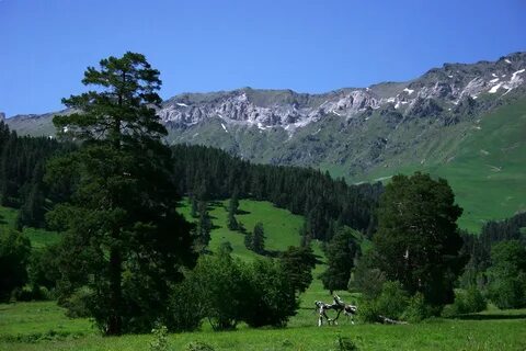 Архыз летом отзывы