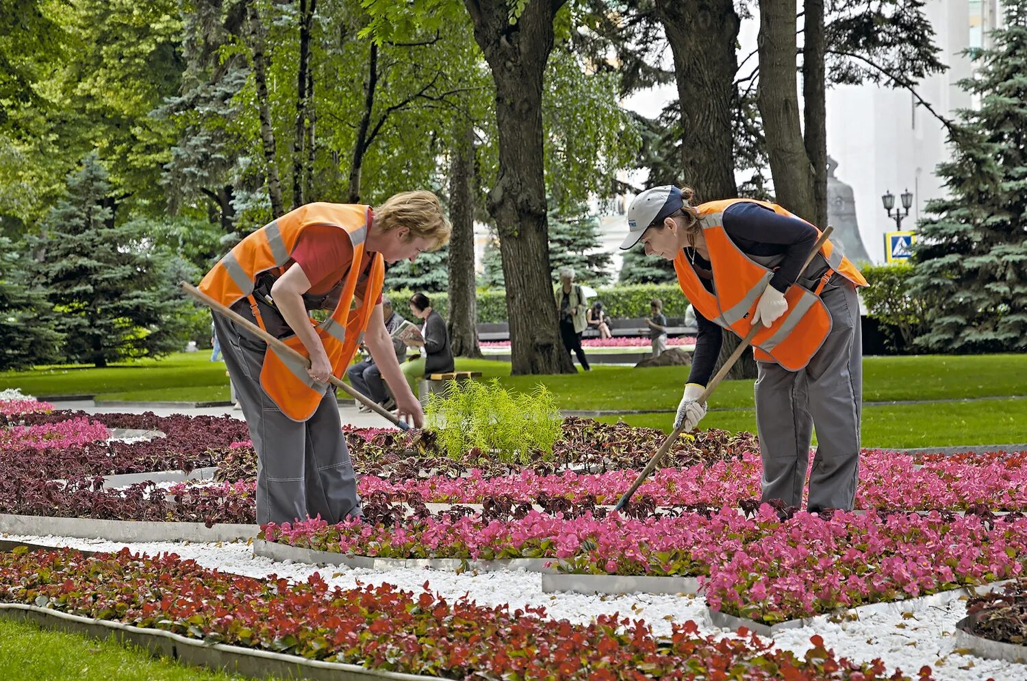 Услуги садовника в подмосковье