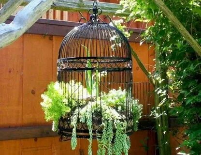 Клумба с клеткой