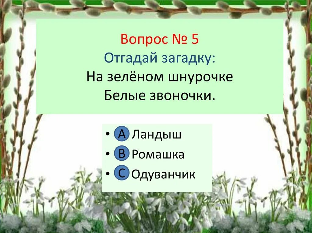 Отгадай загадку цвет белый. Загадка на зеленом шнурочке белые звоночки. отгадать загадку 1 класс на зеленом шнурочке белые звоночки. на зелёном шнурочке белые звоночки ответы. отгадай загадку на белом шнурочке.