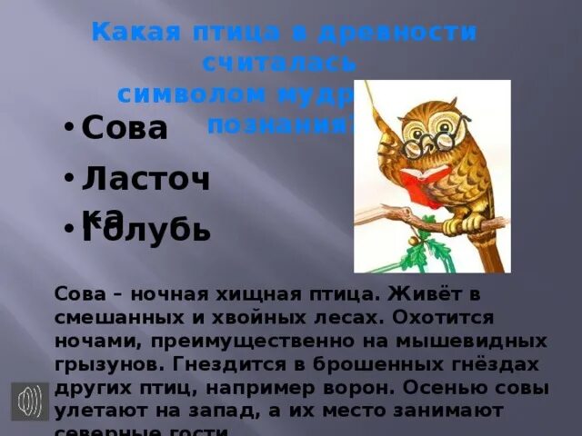 Аннотация сова бианки. Презентация к уроку литературного чтения 2 класс сова бианки.