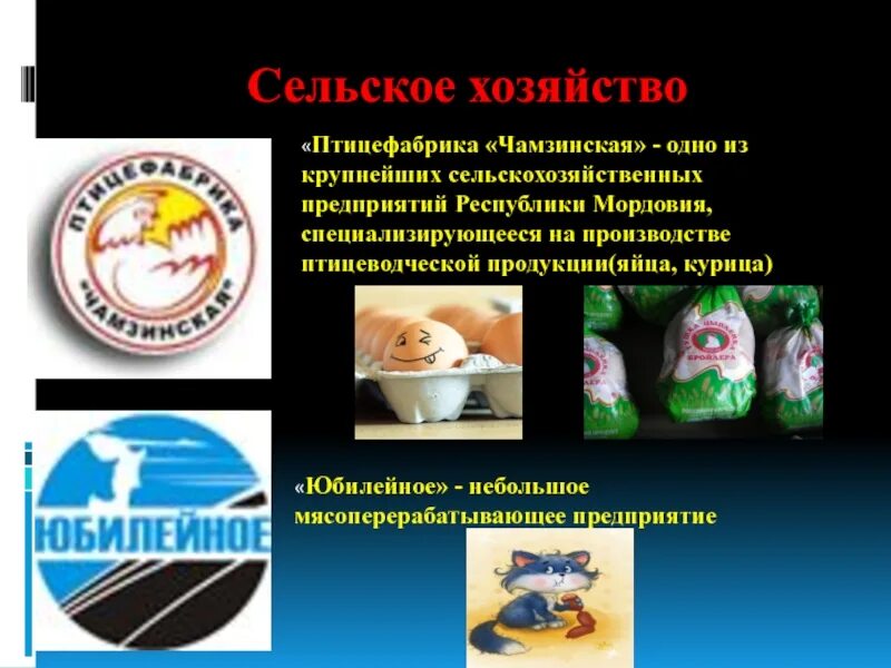 Экономика родного края саранск. Отрасли экономики мордовии 4 класс. Экономика родного края республика мордовия. Отрасли экономики мордовии. Экономика родного края проект 3 класс окружающий мордовия.