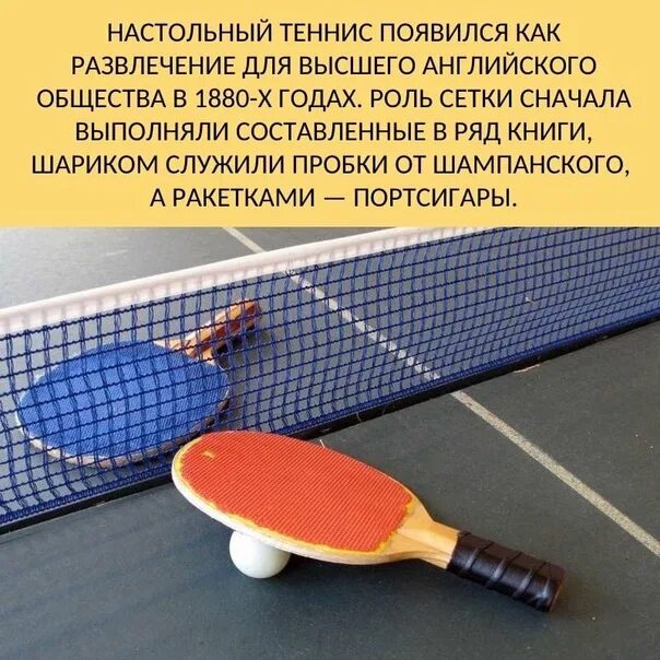 Настольный теннис польза для здоровья. Сообщение о настольном теннисе. Настольный теннис польза для здоровья. История развития настольного тенниса. Цитаты про настольный теннис.