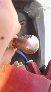 Замена задней лампочки шевроле авео