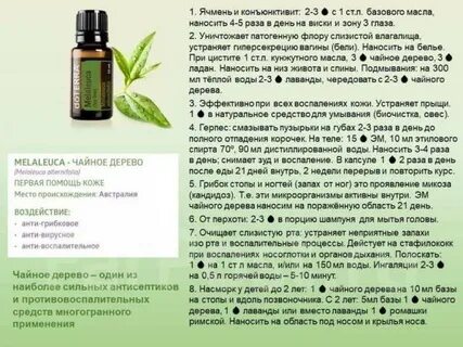 Чем отличается масло от эфирного масла
