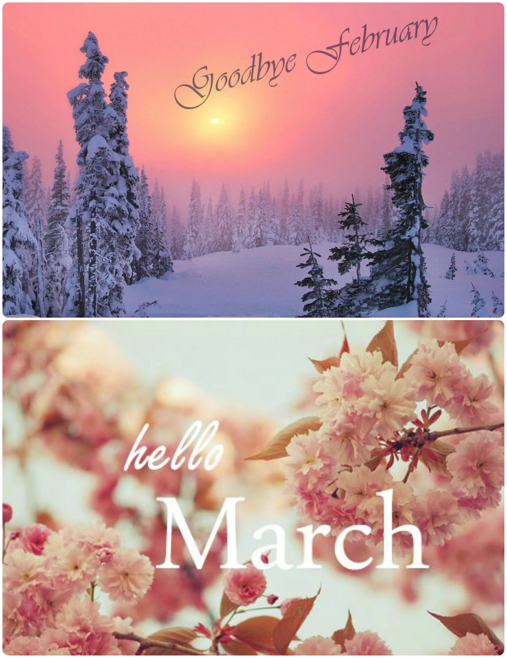 Привет март. Hello февраль. Хелло март. Привет февраль. Hello february