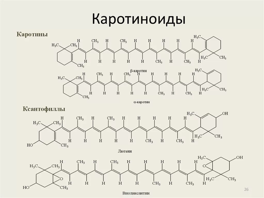 Накопление водорастворимых пигментов антоцианов присоединение молекулы. Каротиноиды структурная формула. Структурная формула каротиноидов. Структура каротиноидов формула. Каротиноид структурная формула.