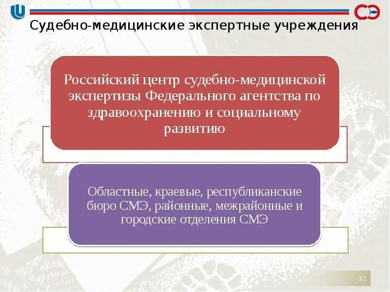 Судебно экспертное учреждение рф