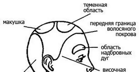 Темечко где у взрослого