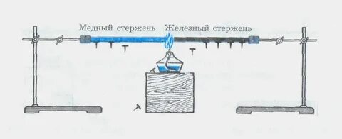 Әйел жыныс мүшелерінің порно видеолары