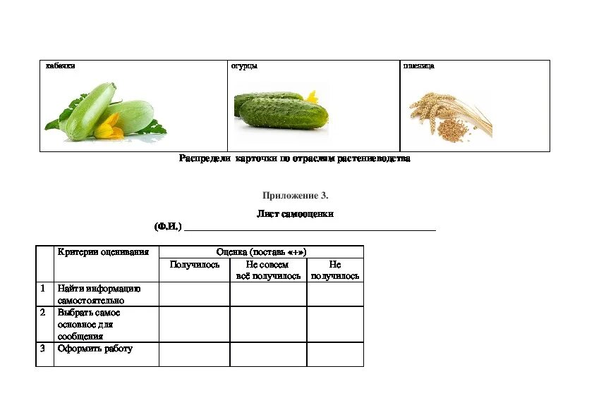 Практическая работа 3 класс окружающий мир растениеводство. Практическая работа Растениеводство. Задания по теме Растениеводство 3 класс. Техкарта Растениеводство. Технологическая карта карта по окружающему миру.