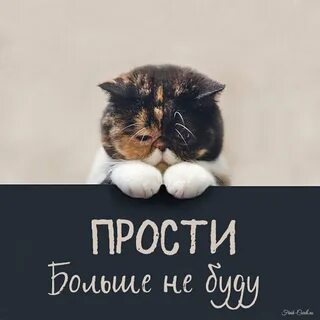 Вы извините таня что я учусь