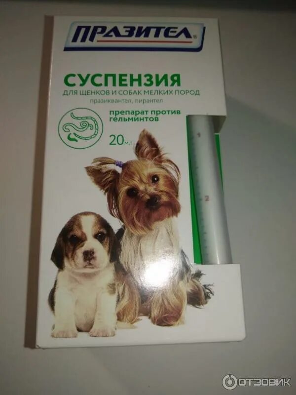 Когда дают собаке глистогонное. Дегельминтизация лекарство для собак. Препарат от глистов для щенков от 1 месяца. Глистогон для собак суспензия. От глистов для собак суспензия празицид.