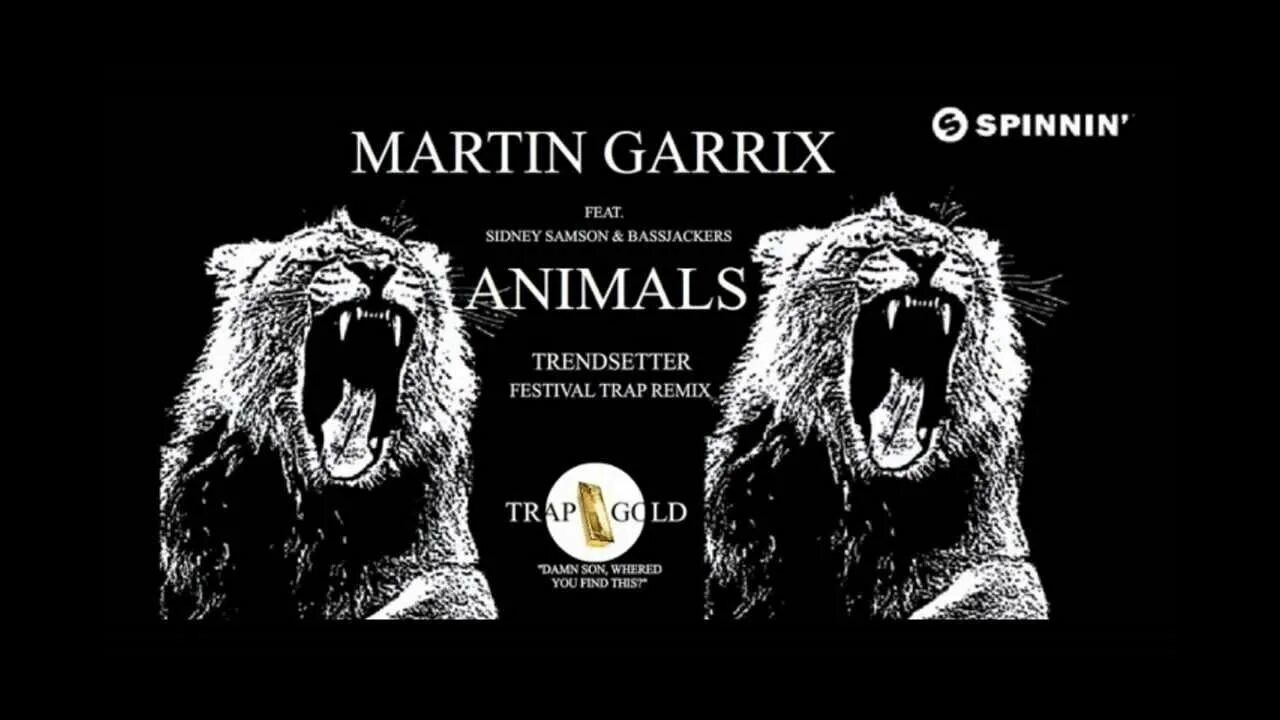 Песня garrix animals. Музыка animals Martin Garrix. Martin Garrix animals 5 03.