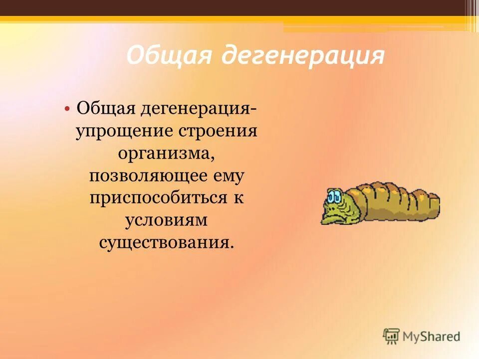 Редуцированные пальцы у парнокопытных это. Упрощение в строении животных. Скелет крупного рогатого скота анатомия. Пропорции животных для рисования. Стилизация и трансформация животных.