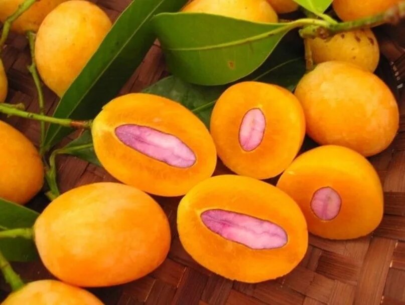 Фрукт желтый похож. Гандария фрукт. гандария тайская слива. тайская слива мапранг. манго слива фрукт.