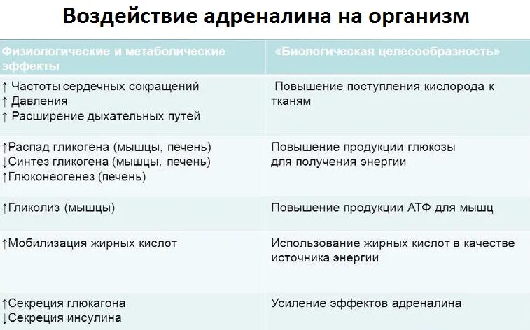 Адреналин повышение в крови. Адреналин функции гормона. Воздействие адреналина на организм. Выделение в кровь адреналина вызывает. Примеры действия адреналина.