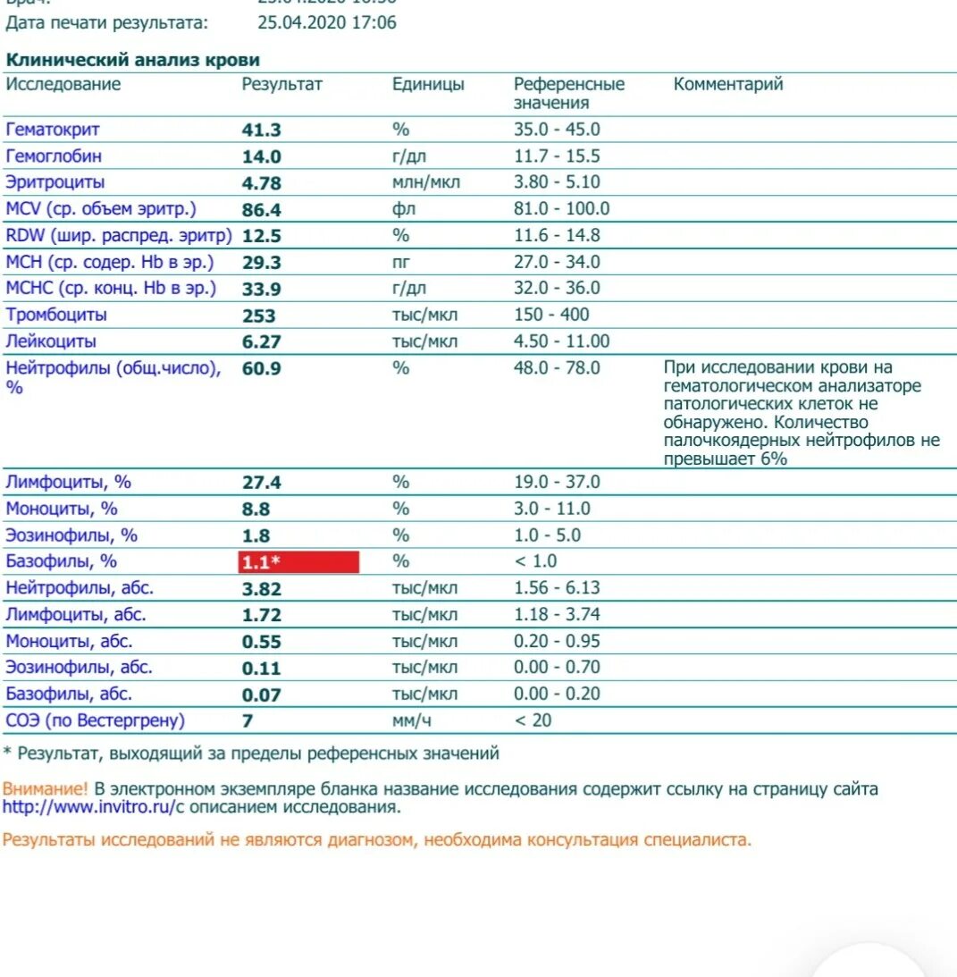 Количество моноцитов повышено