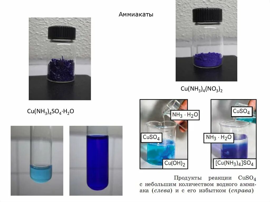 Nh4 no3 ba oh 2. Аммиачный комплекс меди 2 цвет. Аммиакат кобальта 2 цвет. Аммиакат меди 2 цвет. Раствор аммиаката меди.