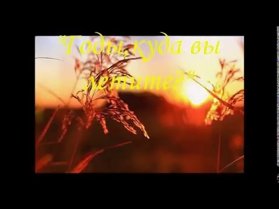 Вы летите как хотите. Годы куда вы летите.