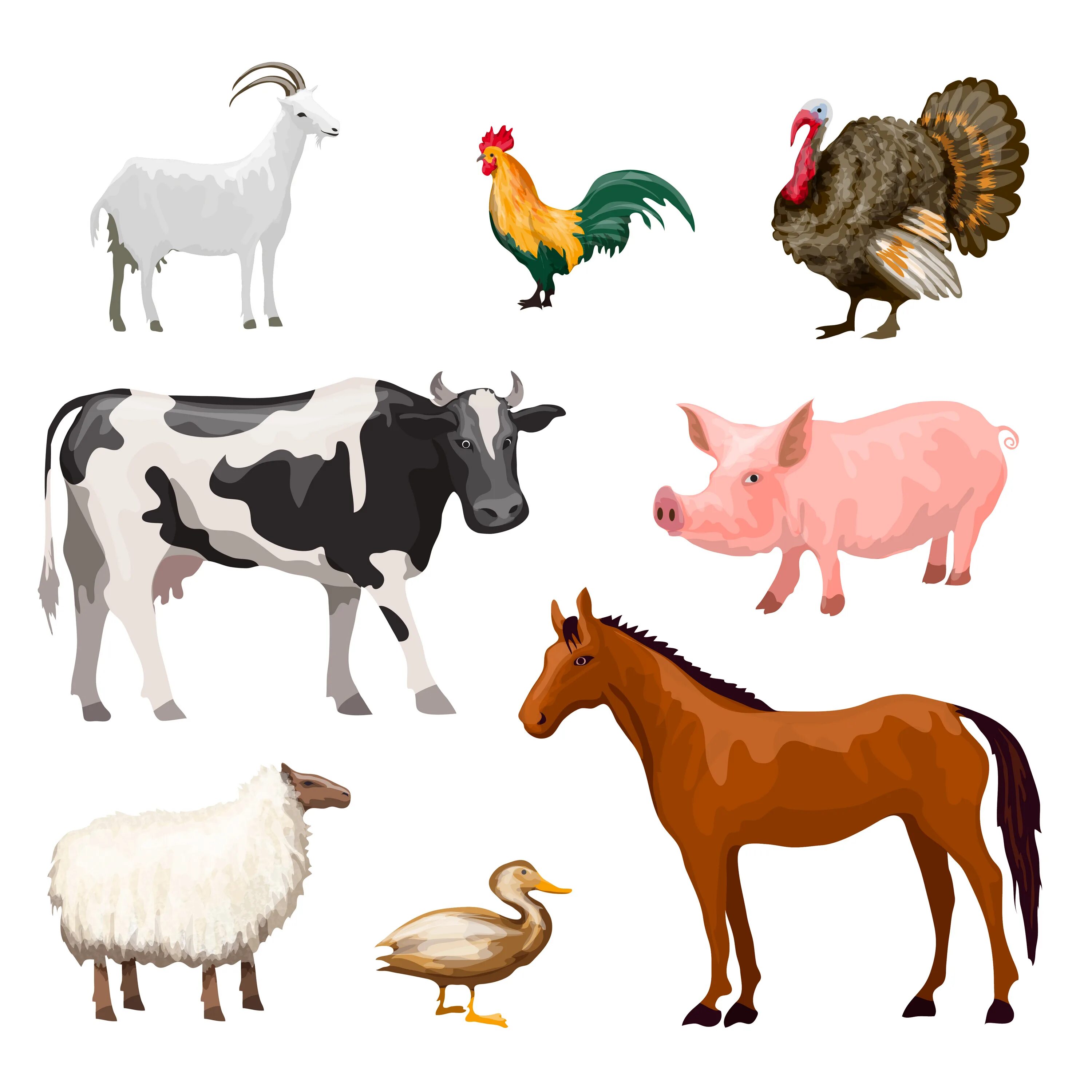 Петух корова лошадь. Животные на ферме. Сельскохозяйственные животные для детей. Домашние животные на ферме. Домашние животные для детей.