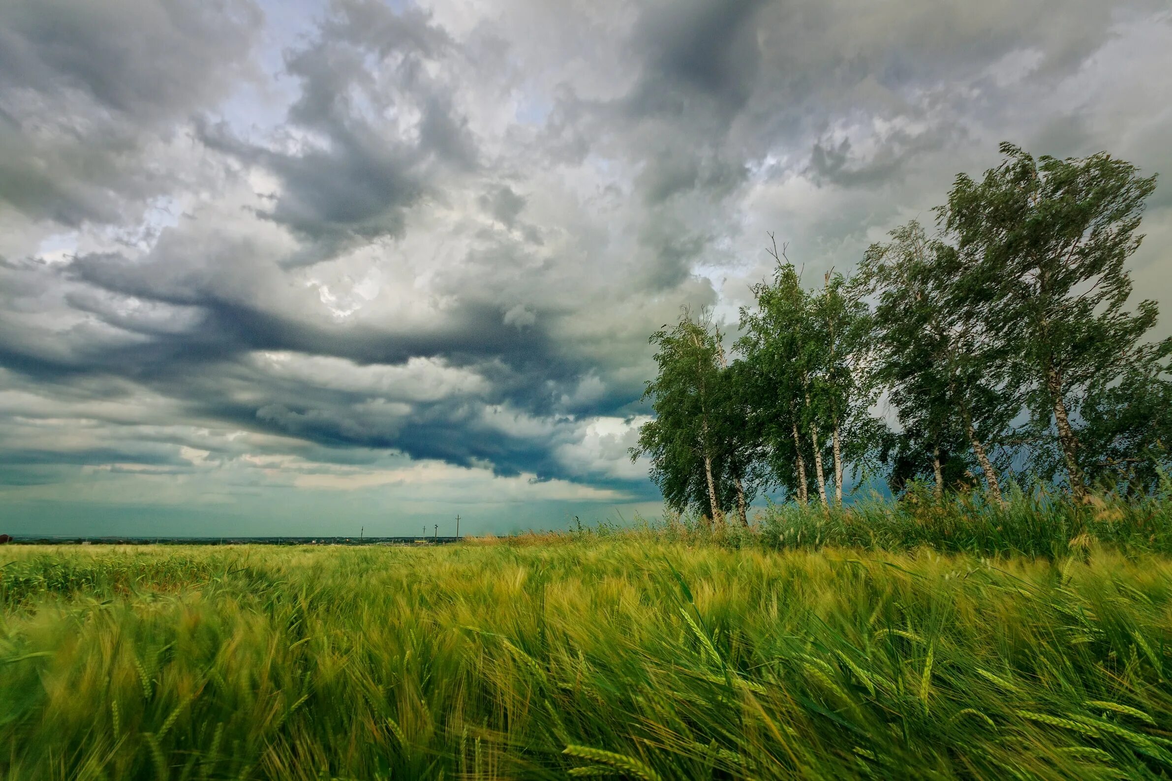 Пейзаж. Перед дождем. Природа перед грозой. Июль пейзаж.