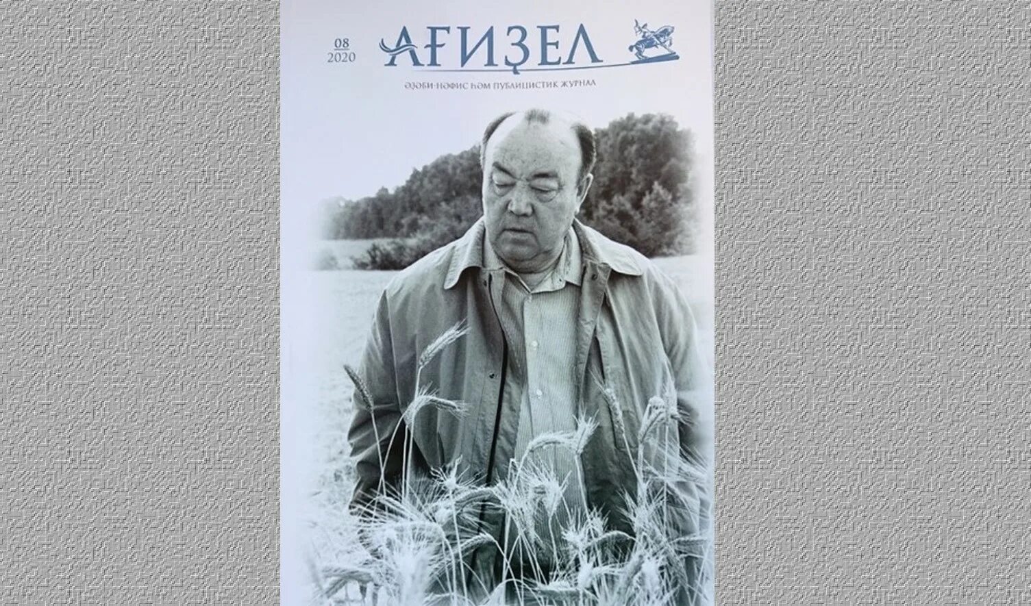Салават абузаров. Журнал агидель. Анализ журнала агидель. Башкирские журналы. Кто является главным редактором журнала агидель.