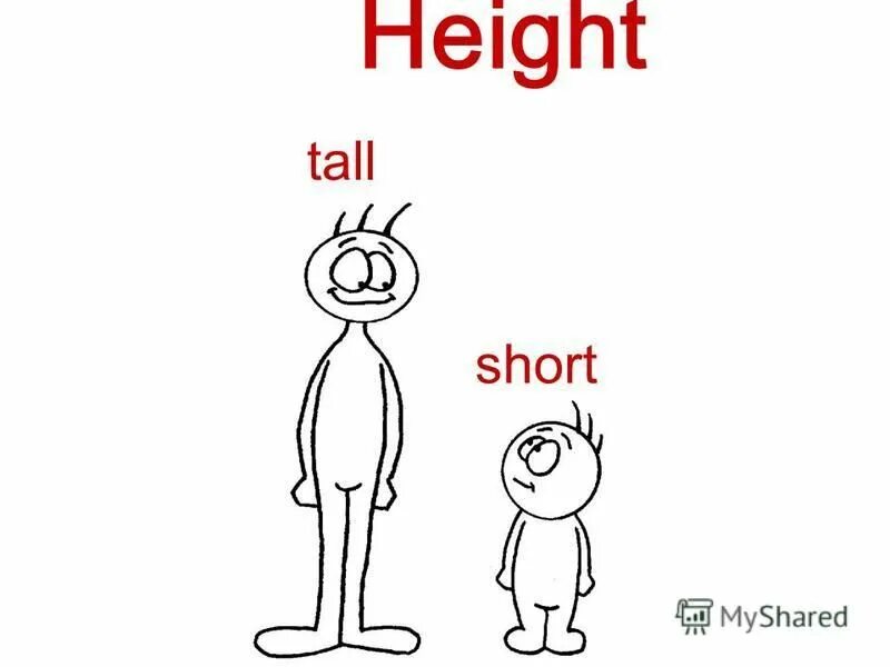 The tallest рисунок. Height short of medium height. Tall short medium height. Short низкий. Medium height.
