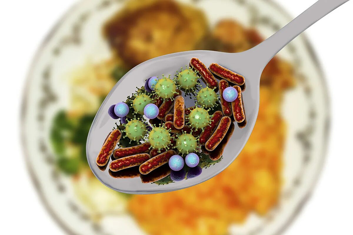 Бактерии на продуктах. Бактерии. Бактерии в продуктах питания. Аммонификация микроорганизмы. Бактерии на продуктах.