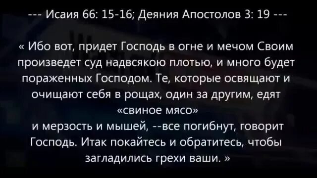 Библия нельзя кушать свинину. Почему запрещено есть свинину. Библия о запрете есть свинину. Почему запрещено есть свинину. Запрет свинины в библии.