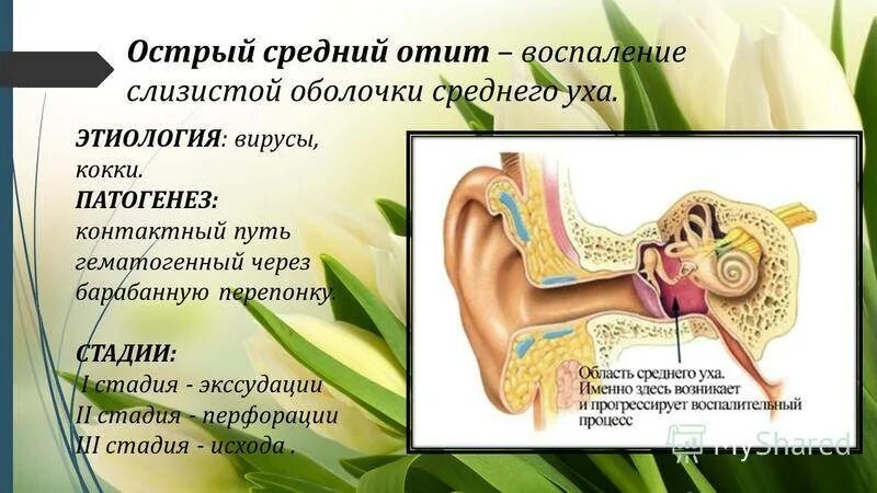 Хронический Гнойный средний отит этиология. Наружный средний Гнойный отит. Патогенез среднего уха отита. Болезни наружного уха: наружный отит. Причины воспаления среднего уха