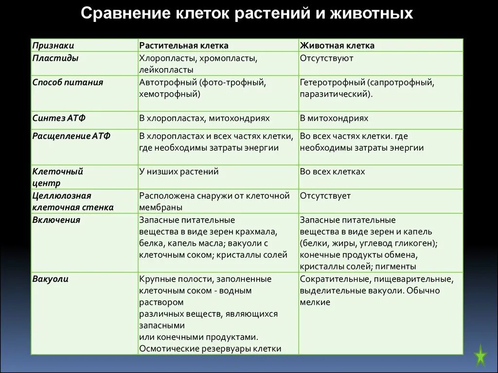 Растительная клетка сходства и различия. Строение растительной клетки сравнительная таблица. Сравнение клеток растений и животных. Сравнить клетки растений и животных. Сходства клеток растений и животных.