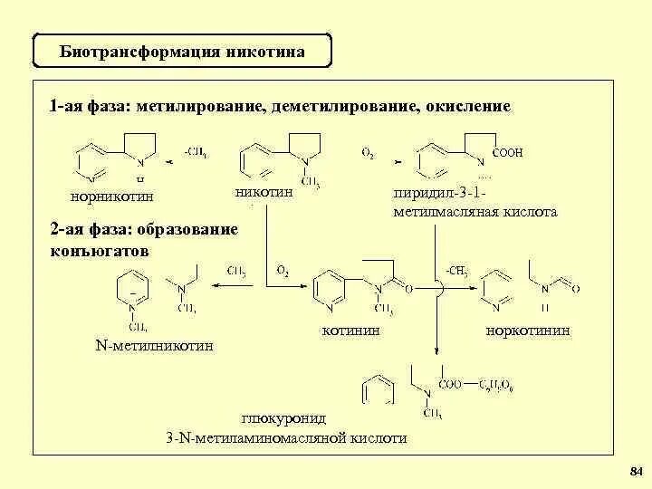 Никотин реакции. Никотин реакции. Никотин с формальдегидом реакция. Химические свойства никотина реакции. Пути метаболизма никотина.