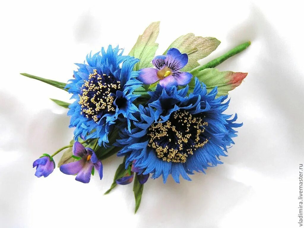 Василёк боровой. Василек императорский. Елена василек и группа белый день. Лена василёк 2021. Валерий семин и лена василек.