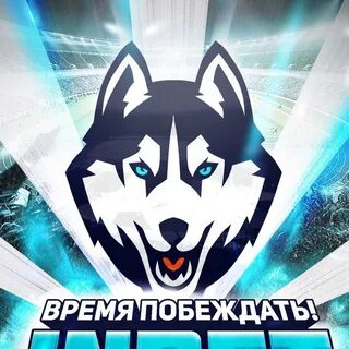 Прогнозы тг