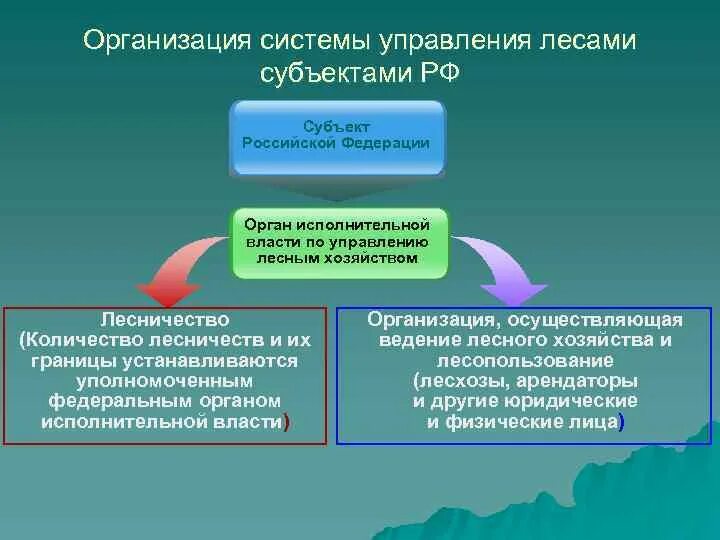 Государственное управление лесами. Система управления лесами в Российской Федерации. Структура органов лесного хозяйства. Система государственного управления лесами.