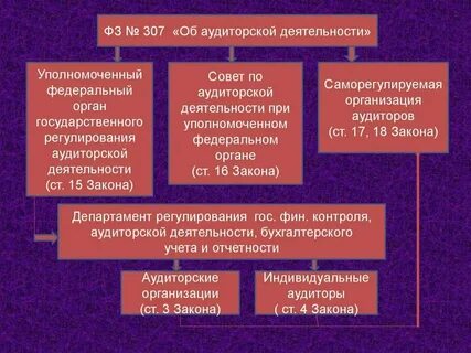 Федеральный закон об аудите
