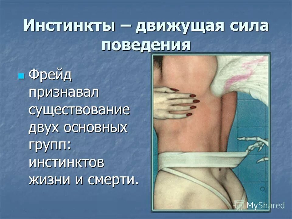 инстинкт движущая сила. инстинкт движущая сила. структура инстинкта по фрейду. инстинкты человека список примеры. либидо в психоанализе.