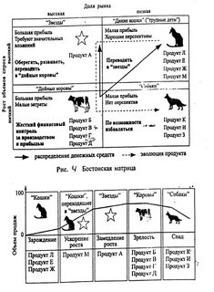Звезда корова собака трудный ребенок