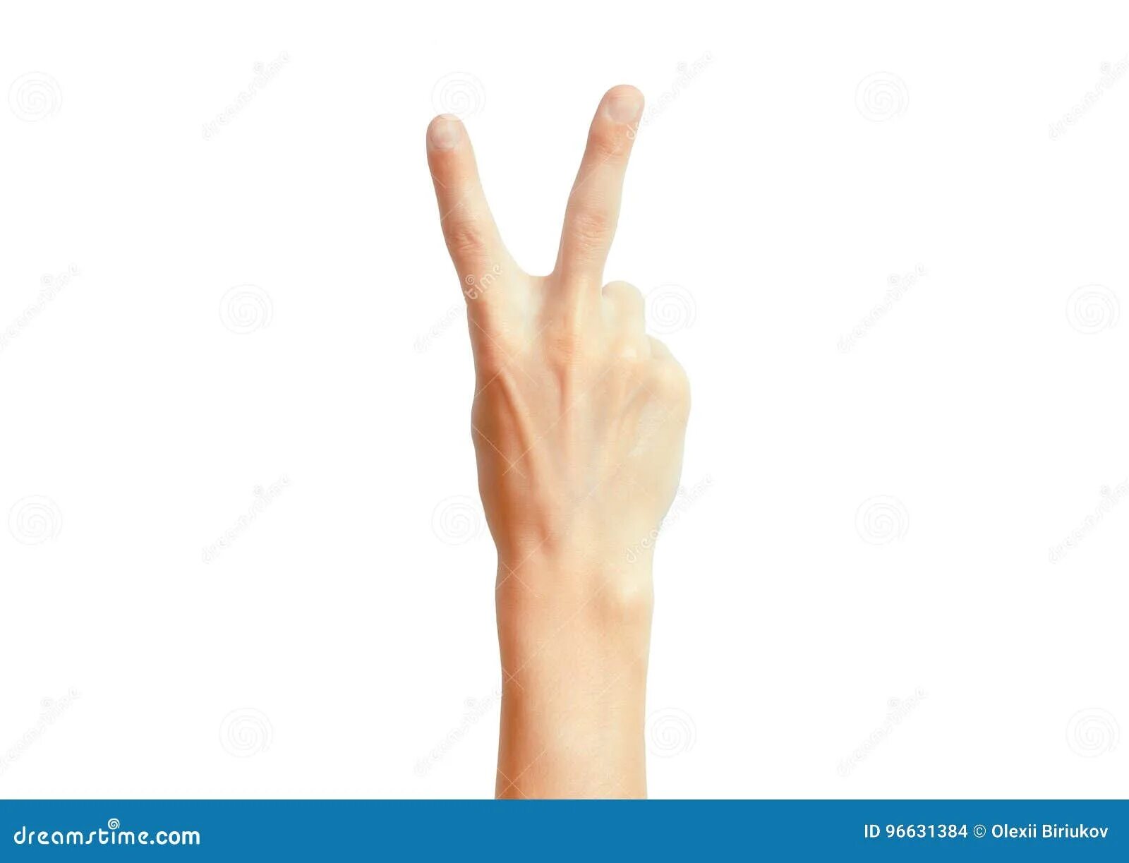 2 2 четыре пальца. Два пальца. Женская рука показывает два пальца. Жест мир пальцами.