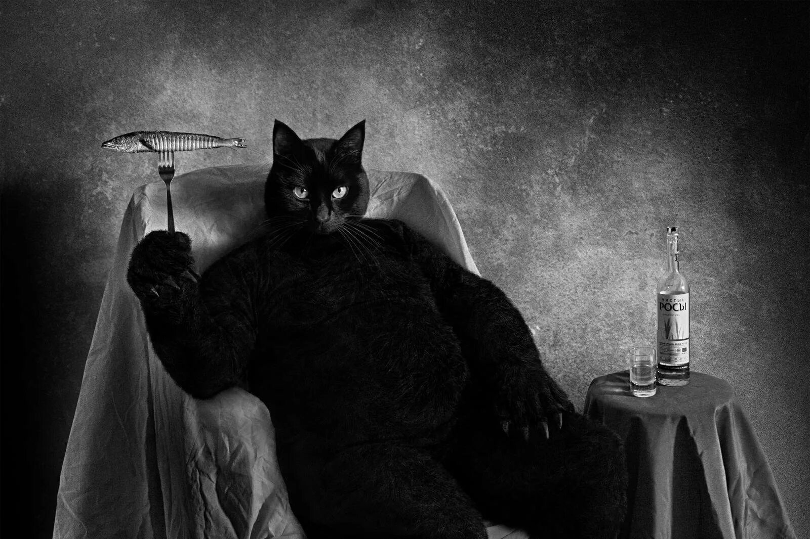 Кот бегемот актер 2024. Вано миранян актер. Кот бегемот живой кот. Семен фурман кот бегемот. Кот бегемот актер 2024.