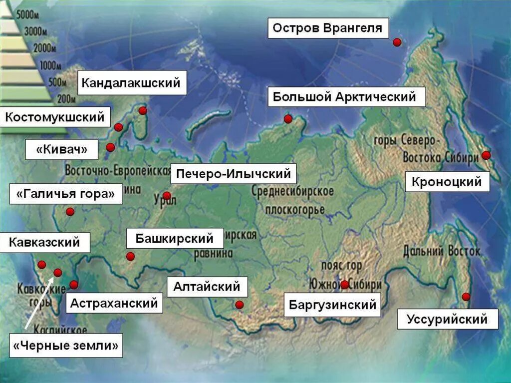 Острова россии 8 класс. Расположение заповедников России на карте. Карта заповедников и национальных парков России. Заповедники и национальные парки России карта. Крупнейшие заповедники нашей страны.