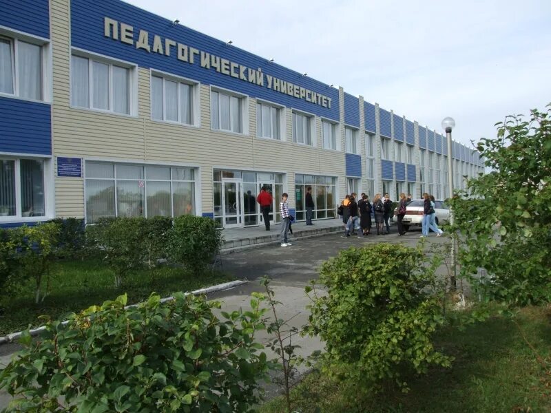 куйбышевском педагогическом университете. антонова овсеенко сгспу. поволжская государственная социально-гуманитарная академия. кф нгпу куйбышев. куйбышевский филиал нгпу новосибирск официальный сайт.