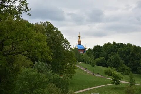 Дубовое телефоны