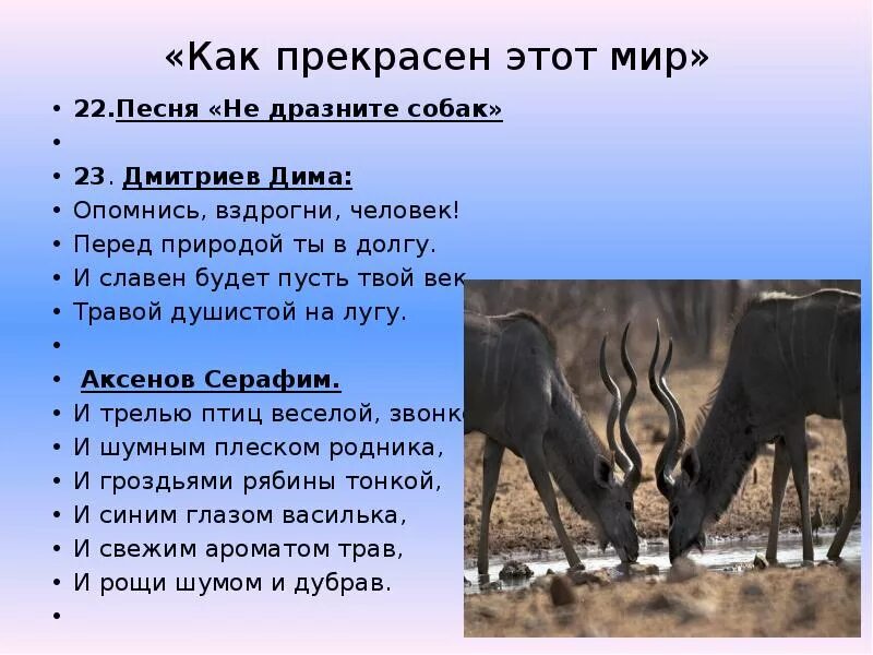 Не дразните собак текст. Не дразните собак текст
