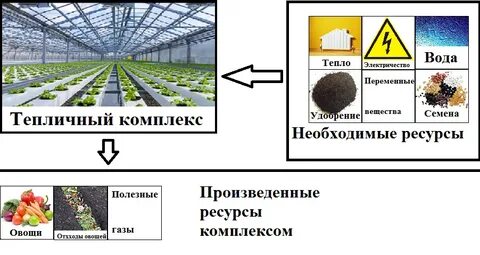 Семена тепла